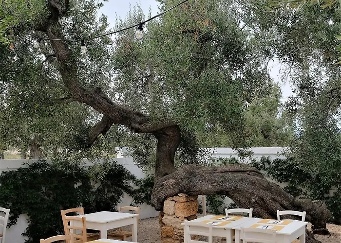 Masseria Stefanodelconte