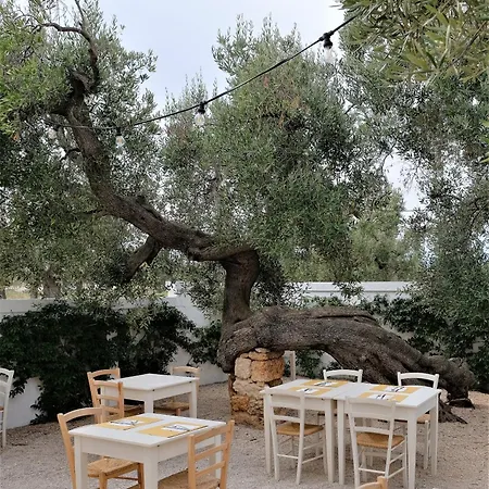 Masseria Stefanodelconte